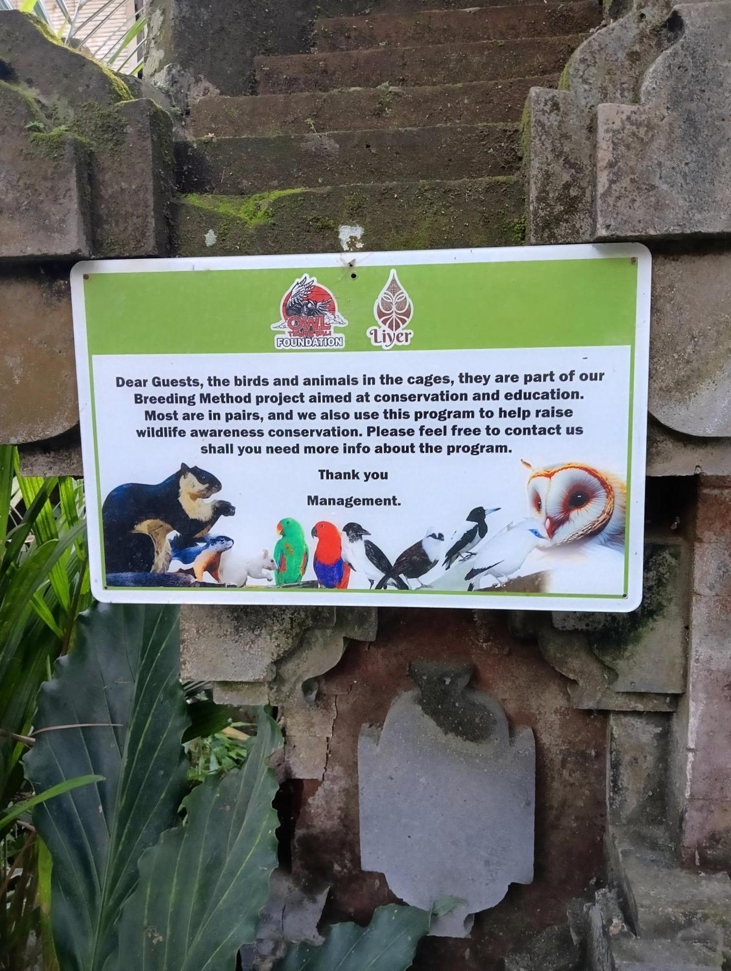Liyer Spirit House Otel Ubud Dış mekan fotoğraf